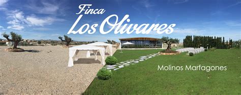 palacielo cartagena|finca los olivares.